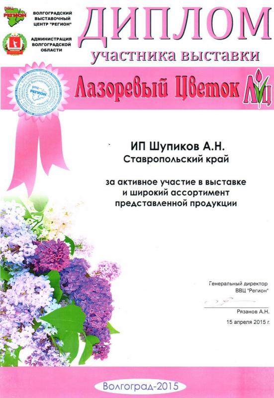 Диплом участника выставки Лазоревый цветок 2015г.