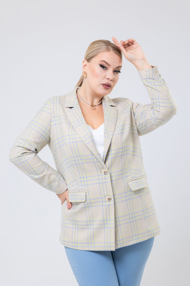 Жакет 172823 [М]