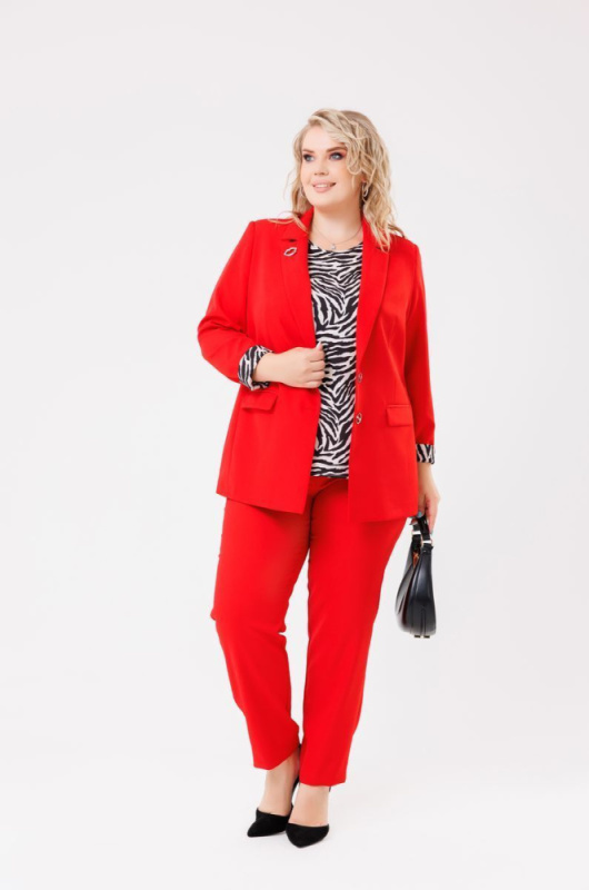 172583-1_Красный_1 комплект